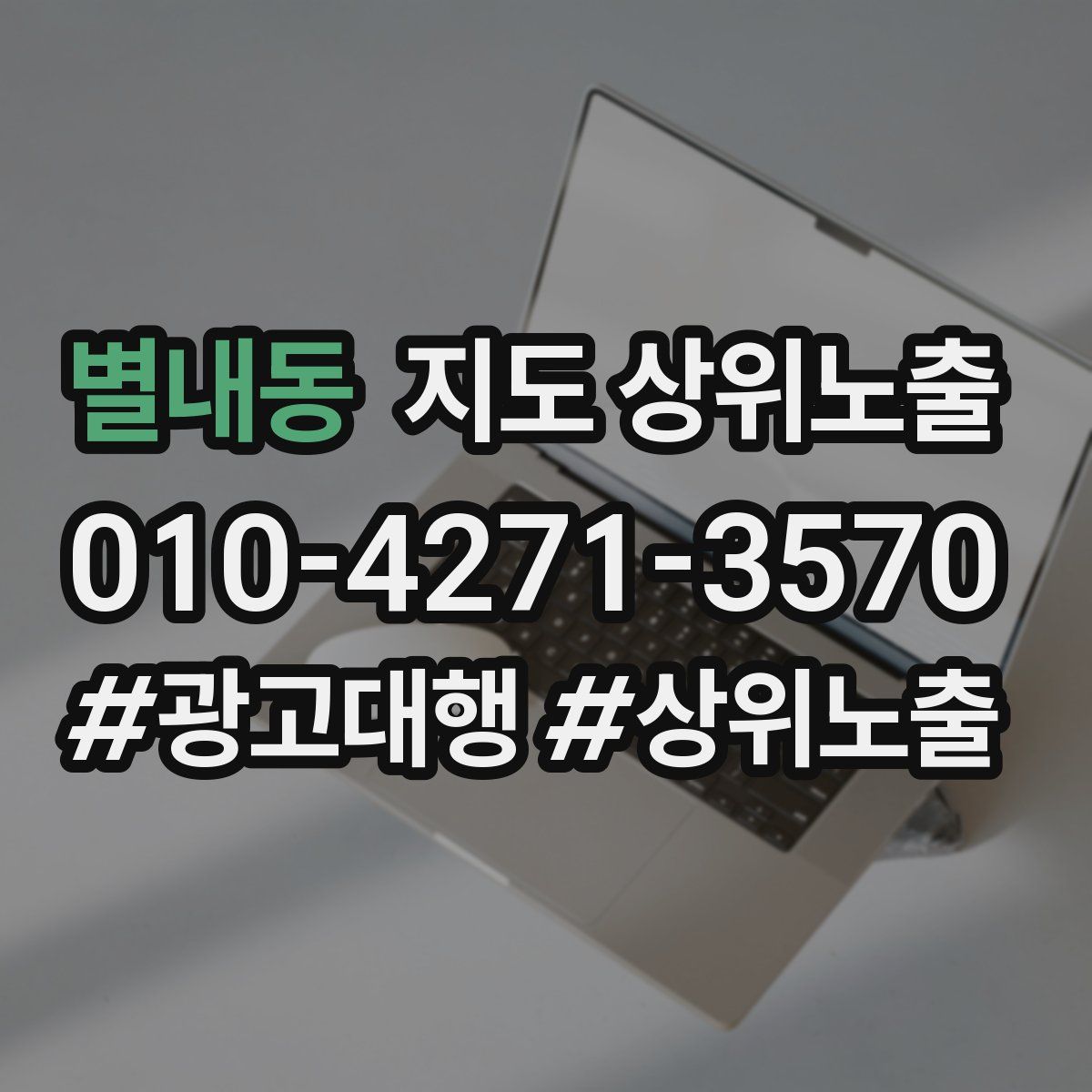 별내동 지도 상위 노출