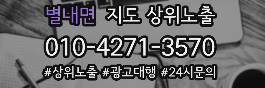별내면 지도 상위 노출