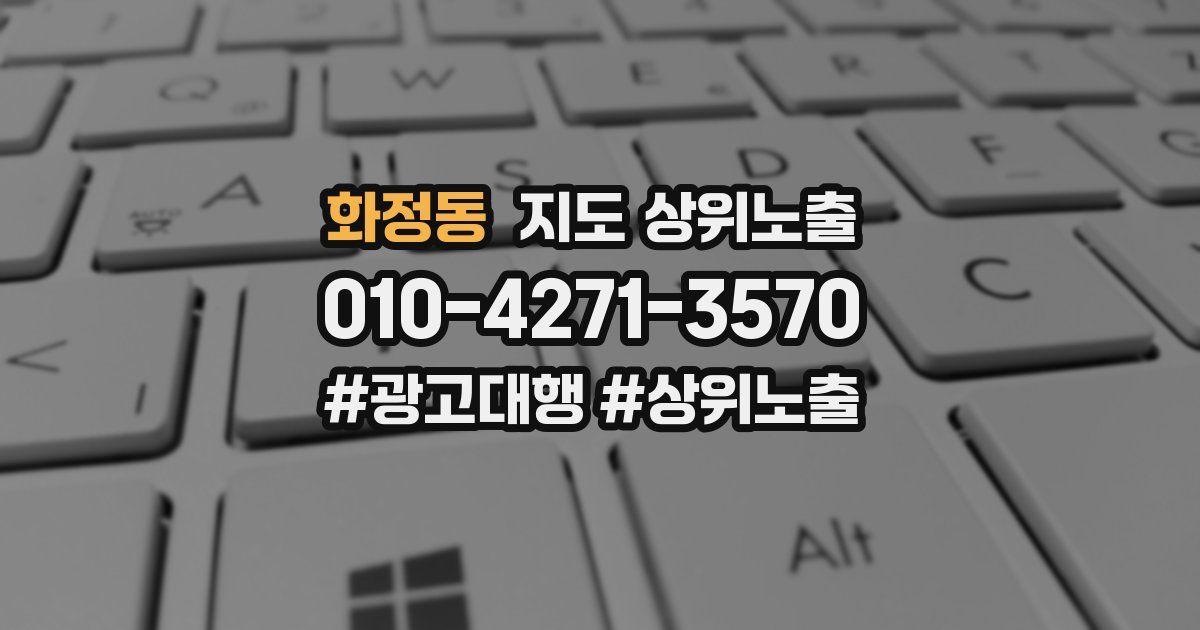 화정동 지도 상위 노출