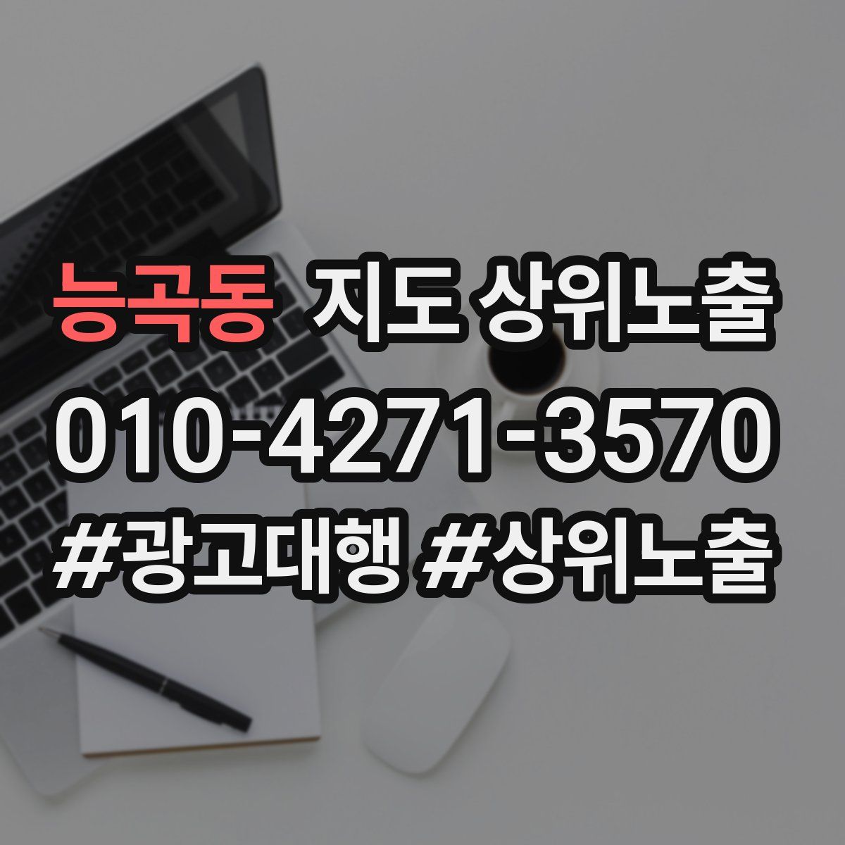 능곡동 지도 상위 노출
