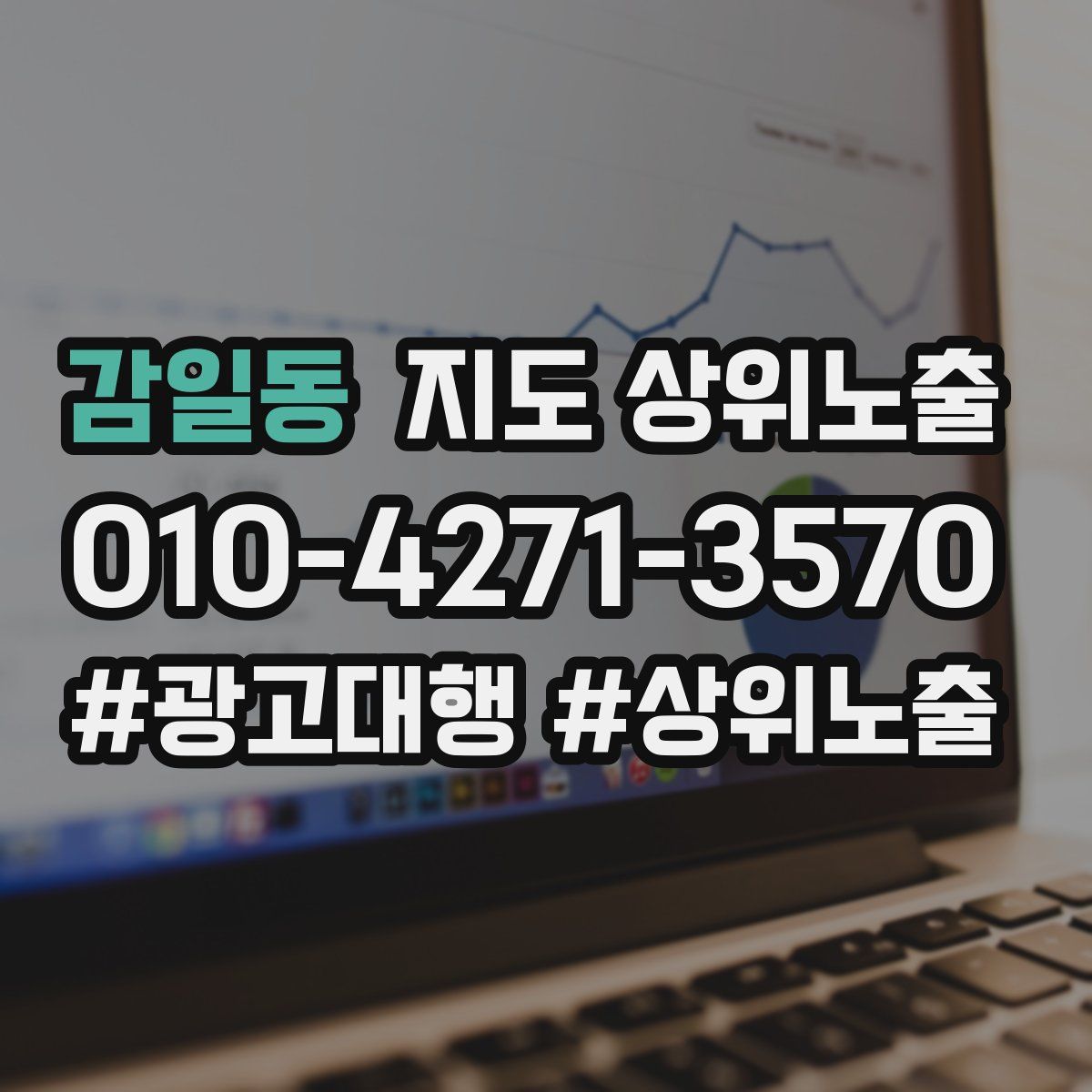 감일동 지도 상위 노출