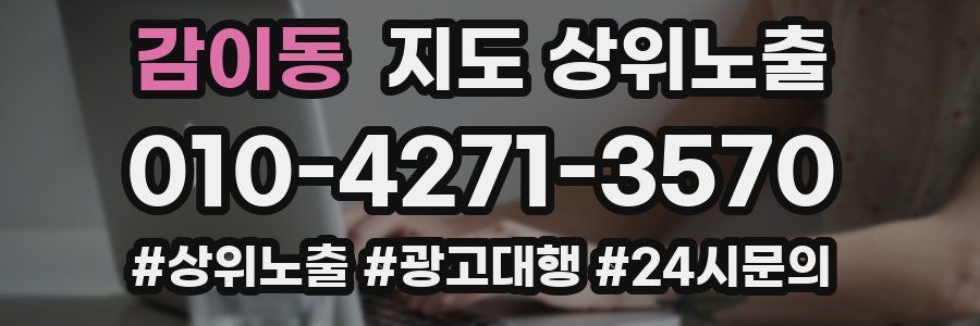 감이동 지도 상위 노출
