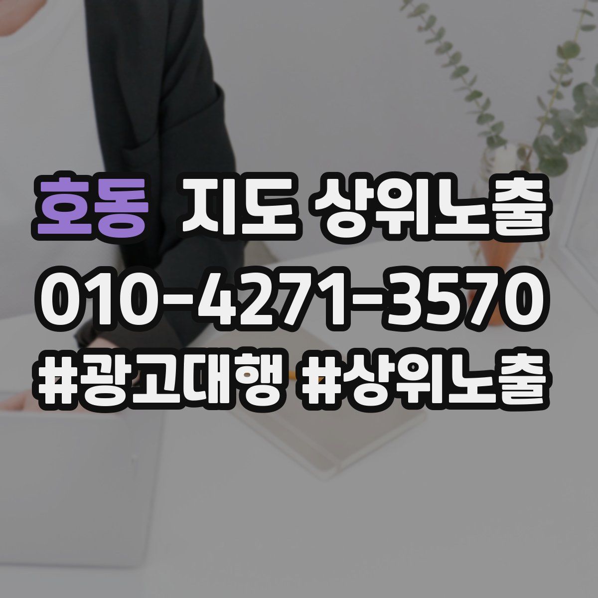 호동 지도 상위 노출