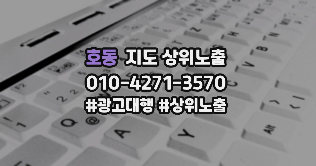 호동 지도 상위 노출
