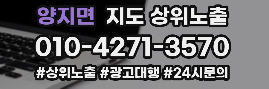양지면 지도 상위 노출