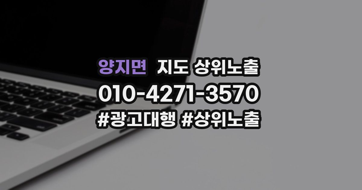 양지면 지도 상위 노출