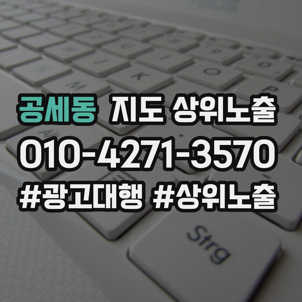 공세동 지도 상위 노출