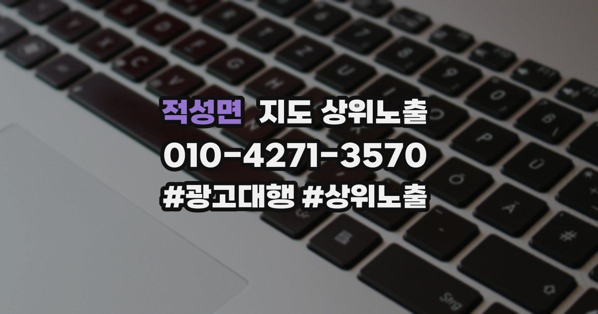 적성면 지도 상위 노출