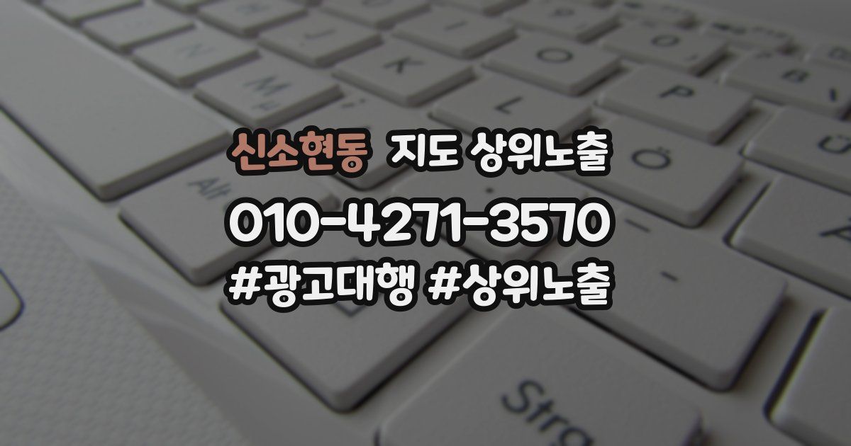 신소현동 지도 상위 노출