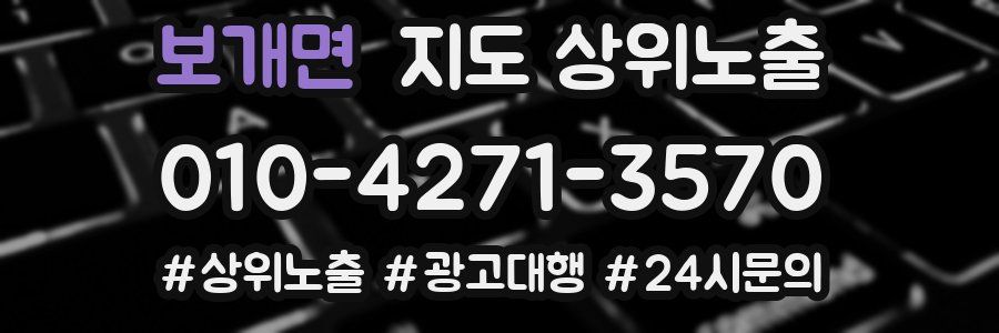 보개면 지도 상위 노출