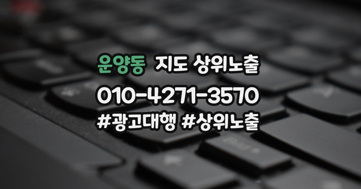 운양동 지도 상위 노출