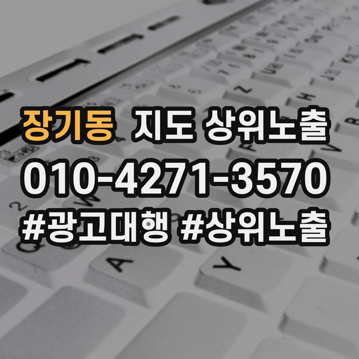 장기동 지도 상위 노출