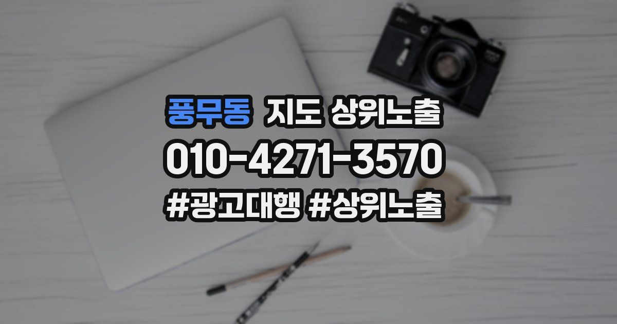 풍무동 지도 상위 노출