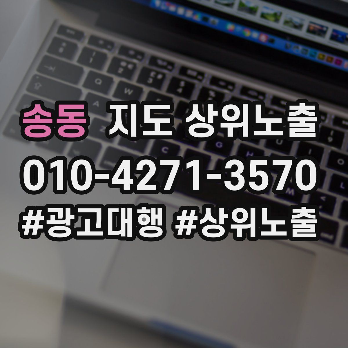 송동 지도 상위 노출