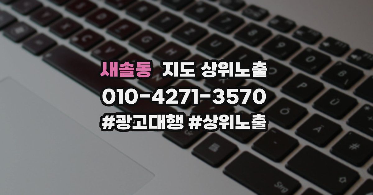 새솔동 지도 상위 노출