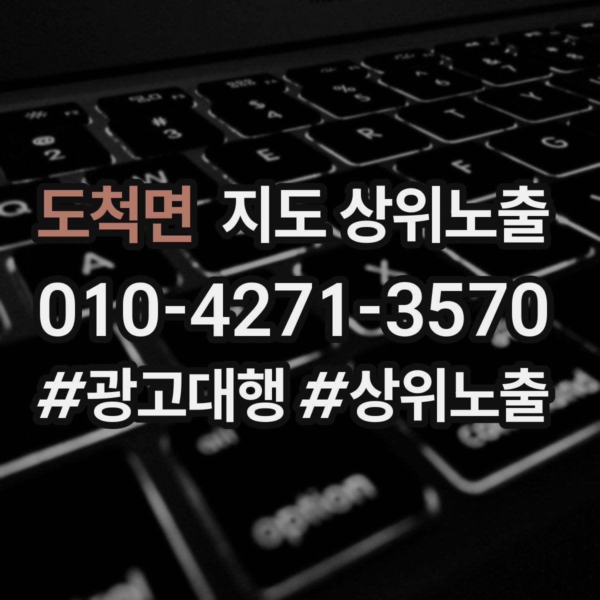 도척면 지도 상위 노출