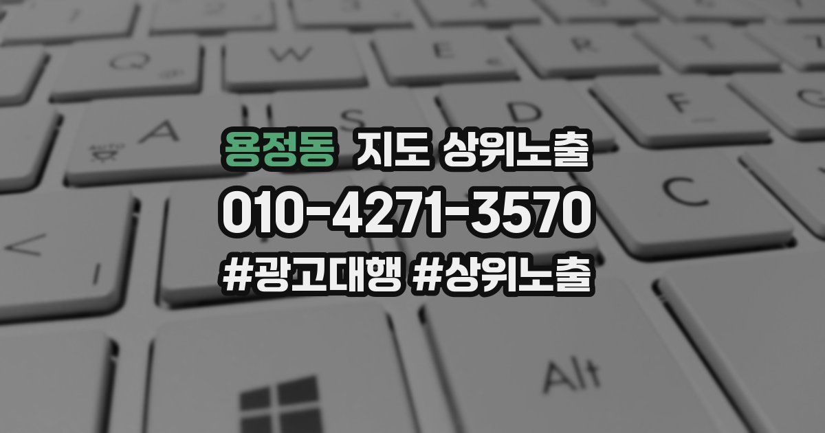 용정동 지도 상위 노출