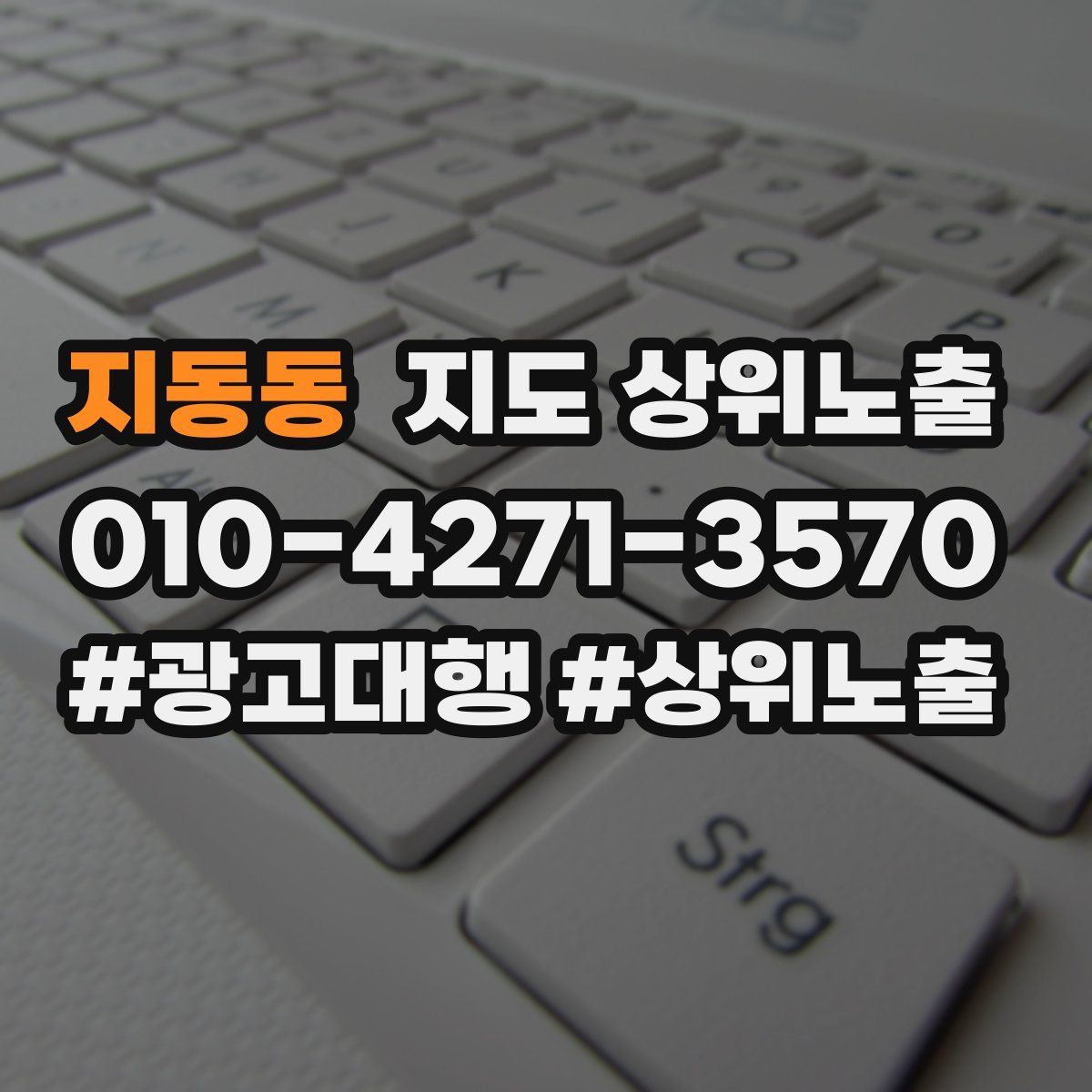 지동동 지도 상위 노출