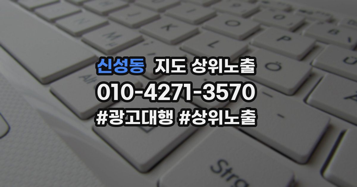 신성동 지도 상위 노출