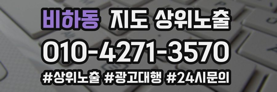 비하동 지도 상위 노출