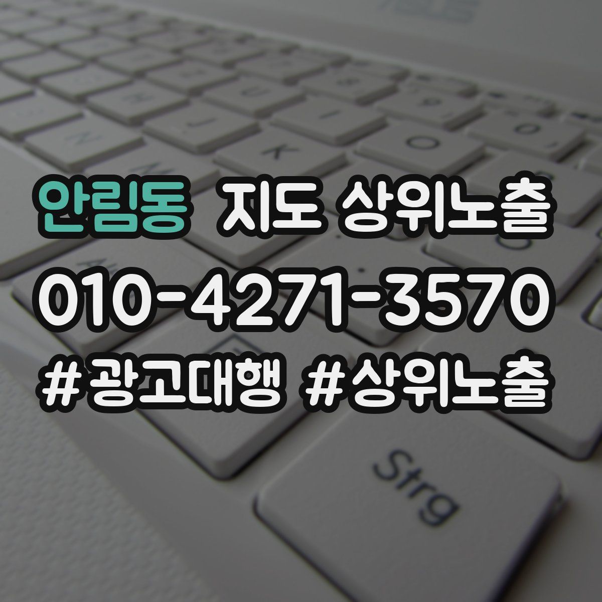 안림동 지도 상위 노출