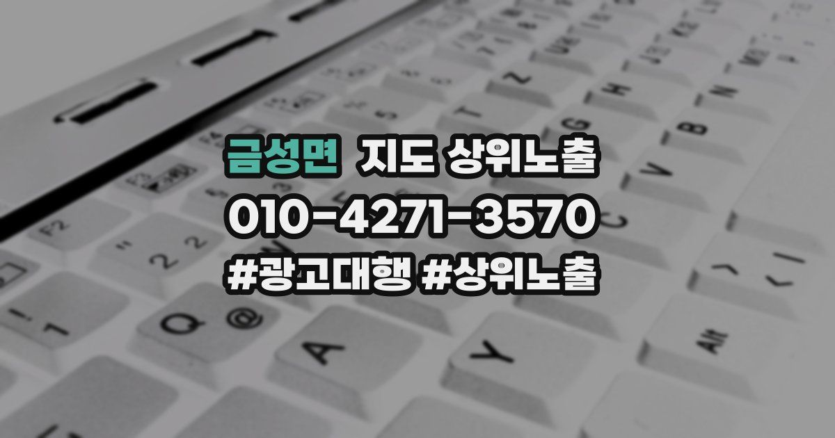 금성면 지도 상위 노출