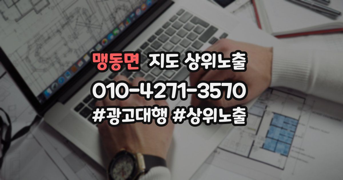 맹동면 지도 상위 노출
