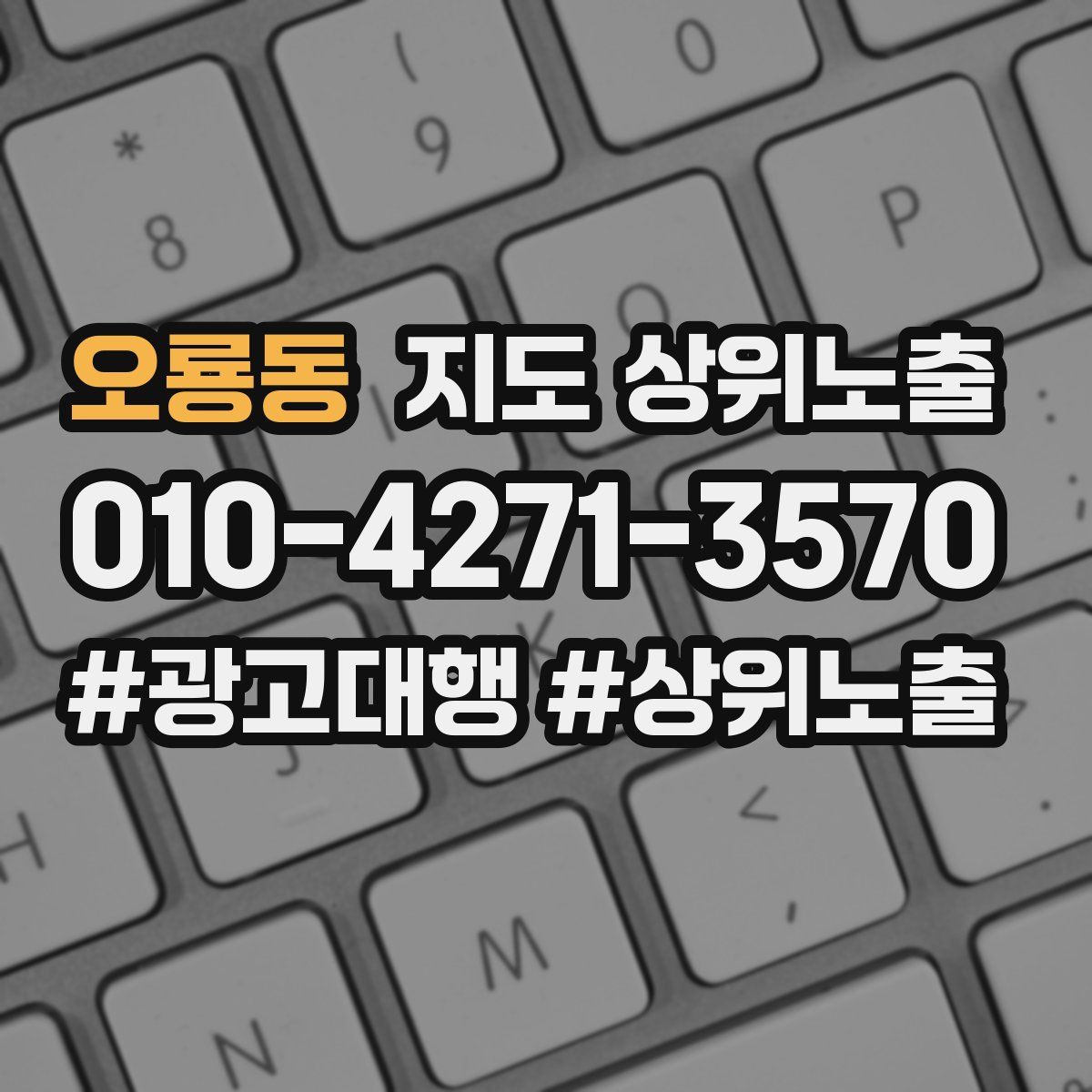 오룡동 지도 상위 노출