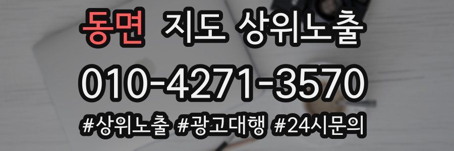 동면 지도 상위 노출