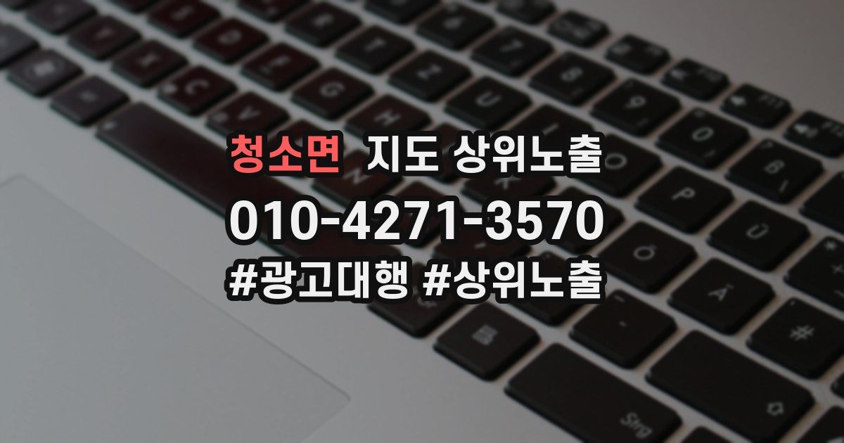 청소면 지도 상위 노출