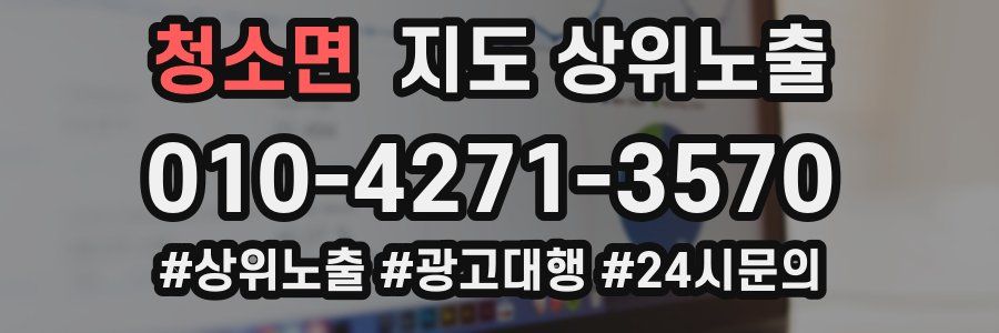 청소면 지도 상위 노출