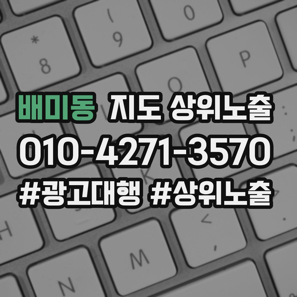 배미동 지도 상위 노출
