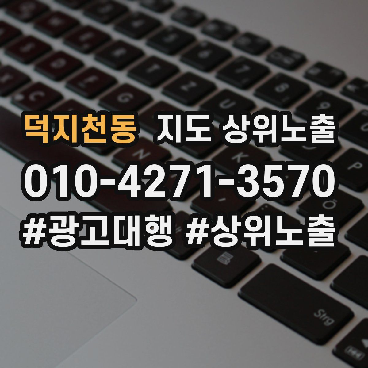 덕지천동 지도 상위 노출
