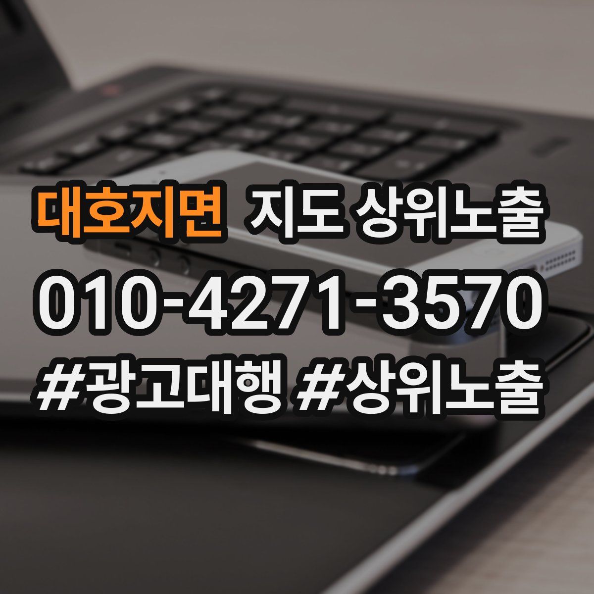 대호지면 지도 상위 노출