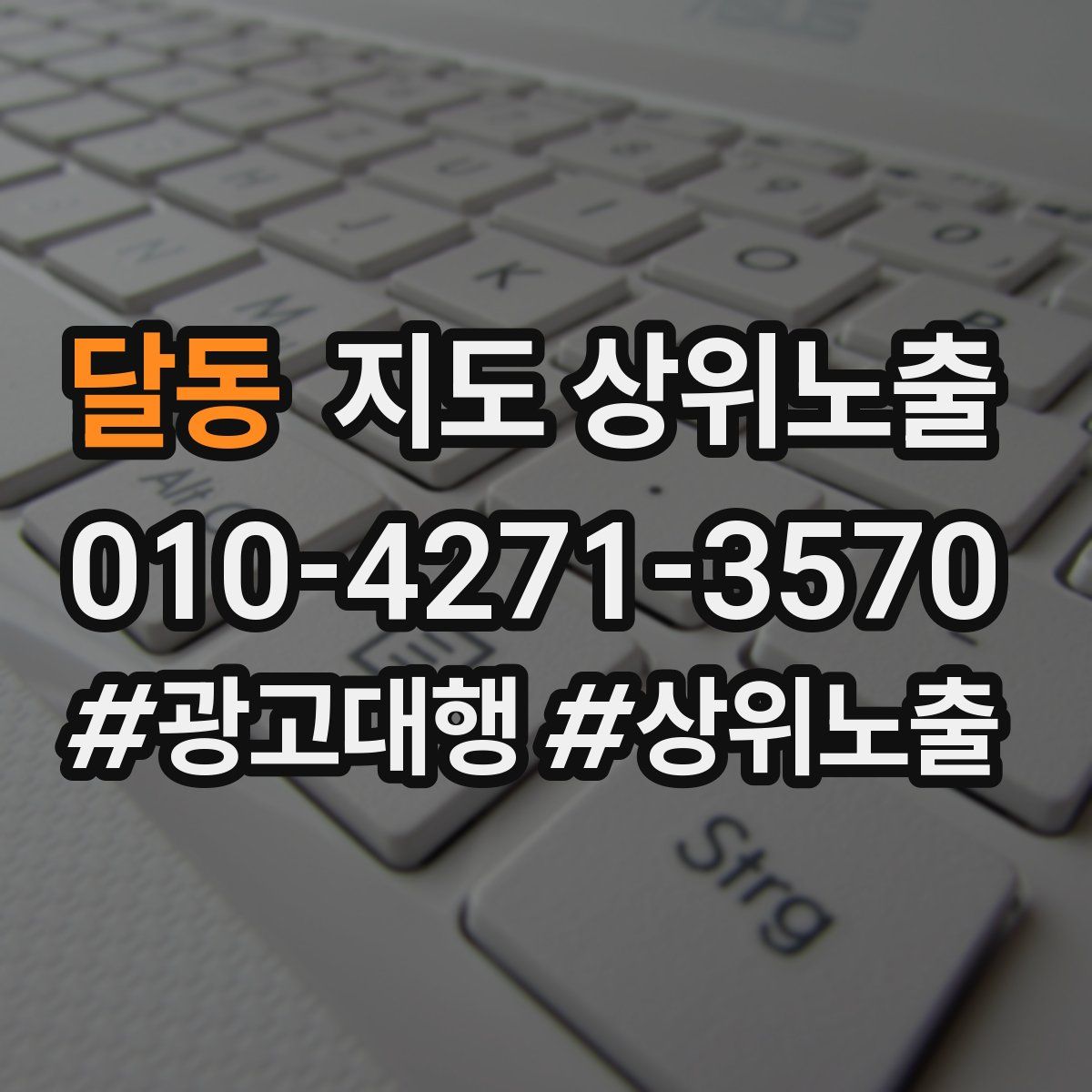 달동 지도 상위 노출