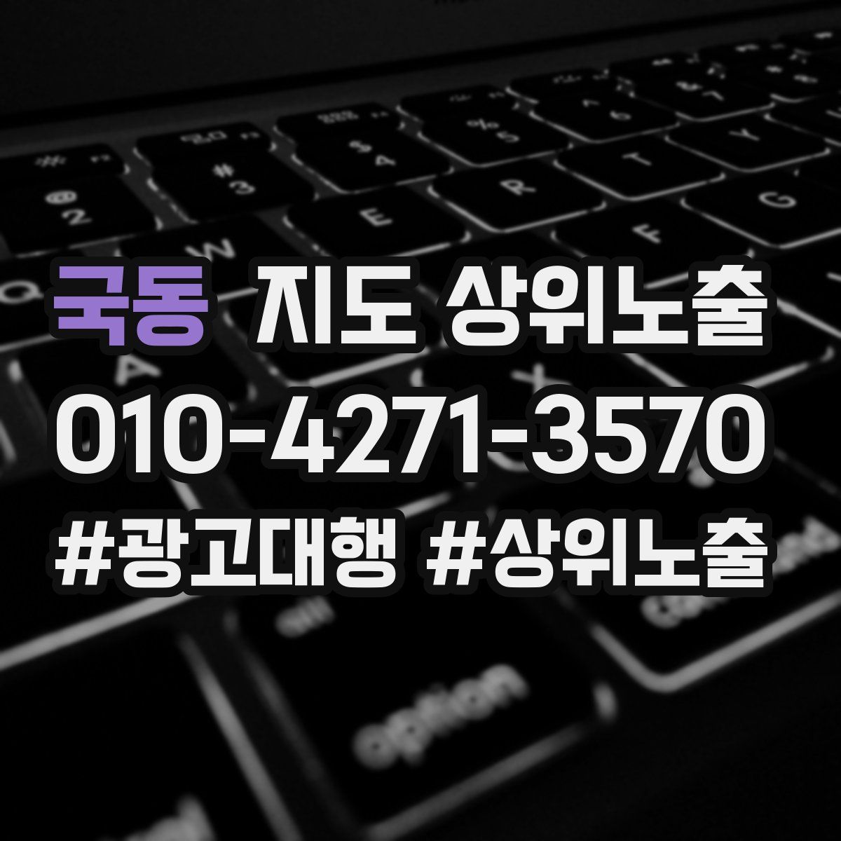 국동 지도 상위 노출