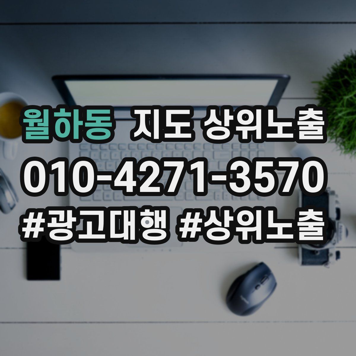월하동 지도 상위 노출