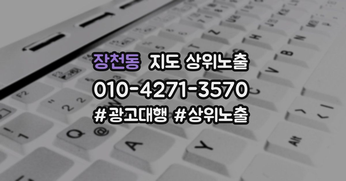 장천동 지도 상위 노출