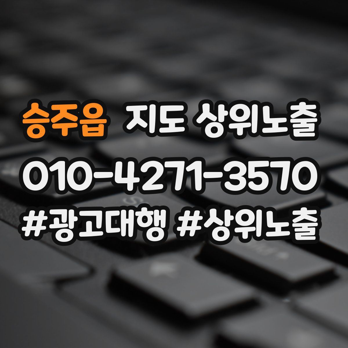 승주읍 지도 상위 노출