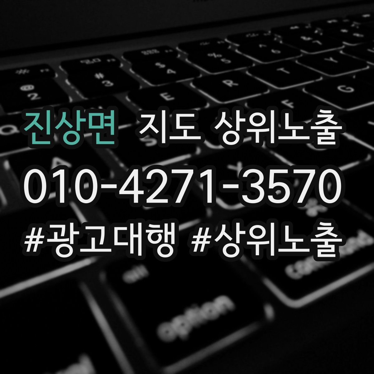 진상면 지도 상위 노출