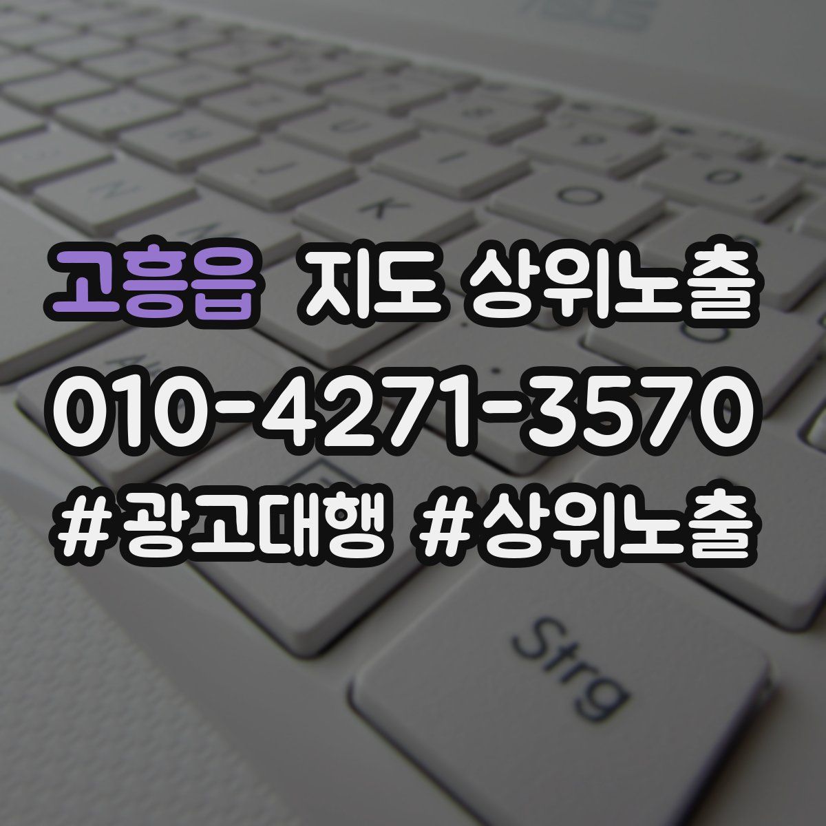 고흥읍 지도 상위 노출