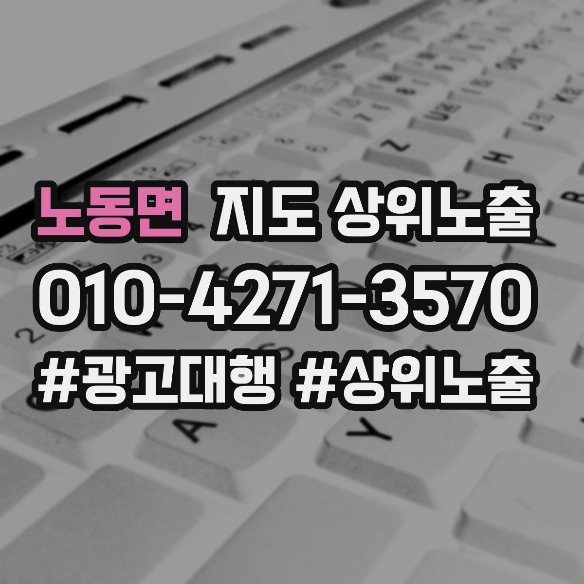노동면 지도 상위 노출