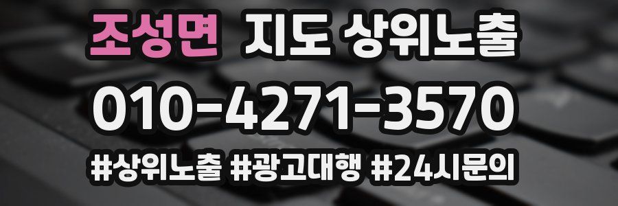 조성면 지도 상위 노출
