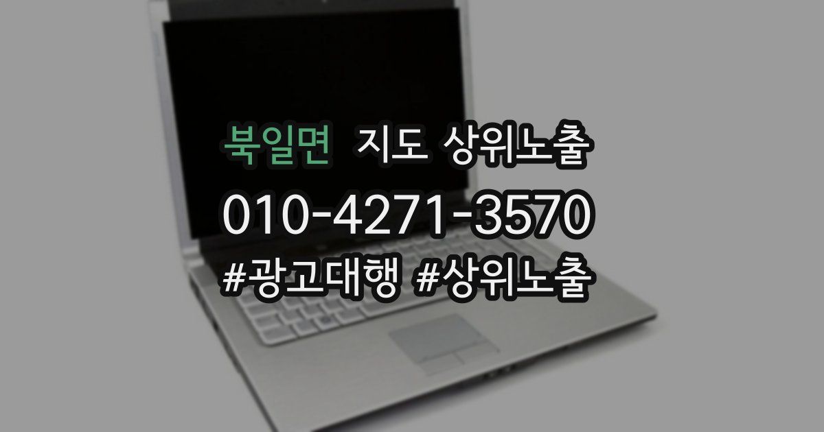 북일면 지도 상위 노출