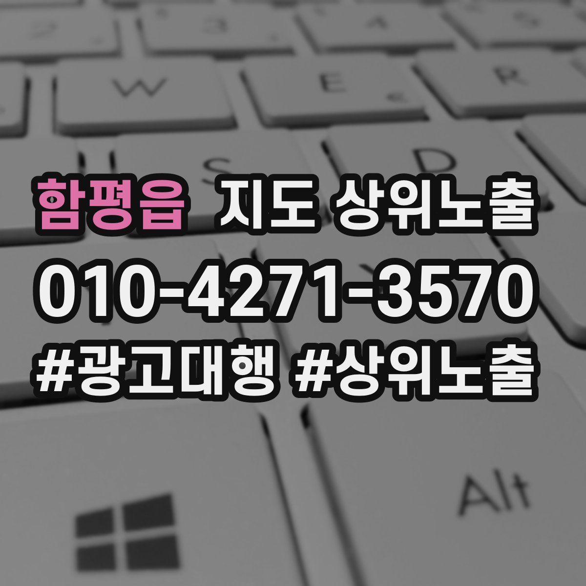 함평읍 지도 상위 노출