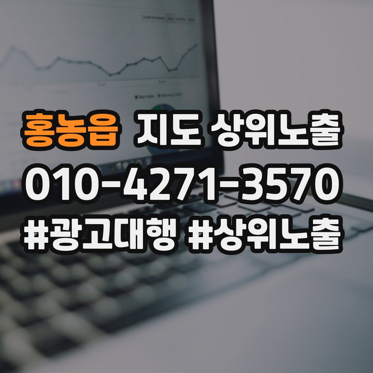홍농읍 지도 상위 노출
