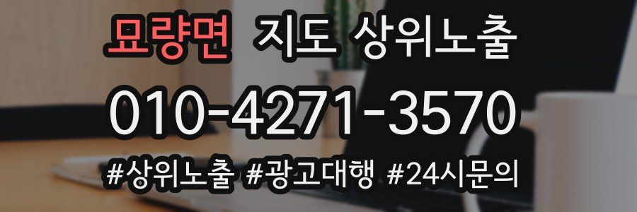 묘량면 지도 상위 노출