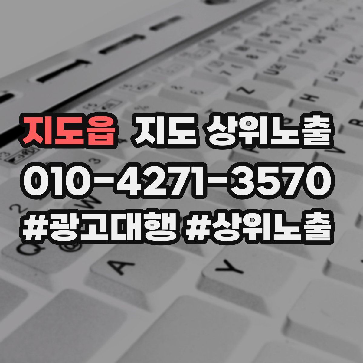 지도읍 지도 상위 노출