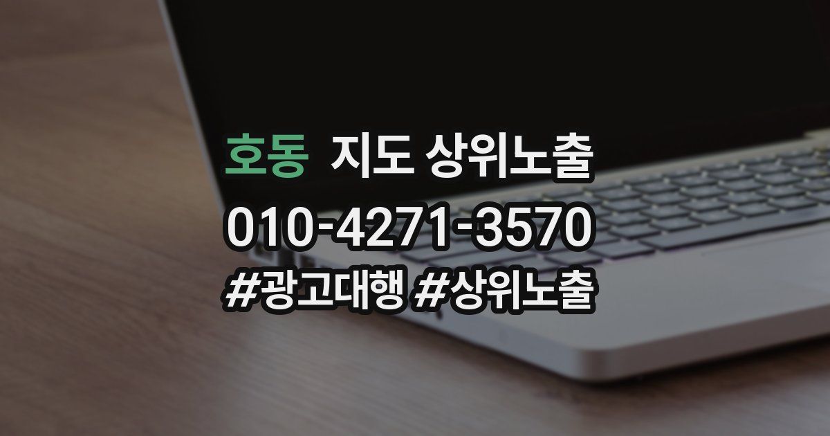 호동 지도 상위 노출
