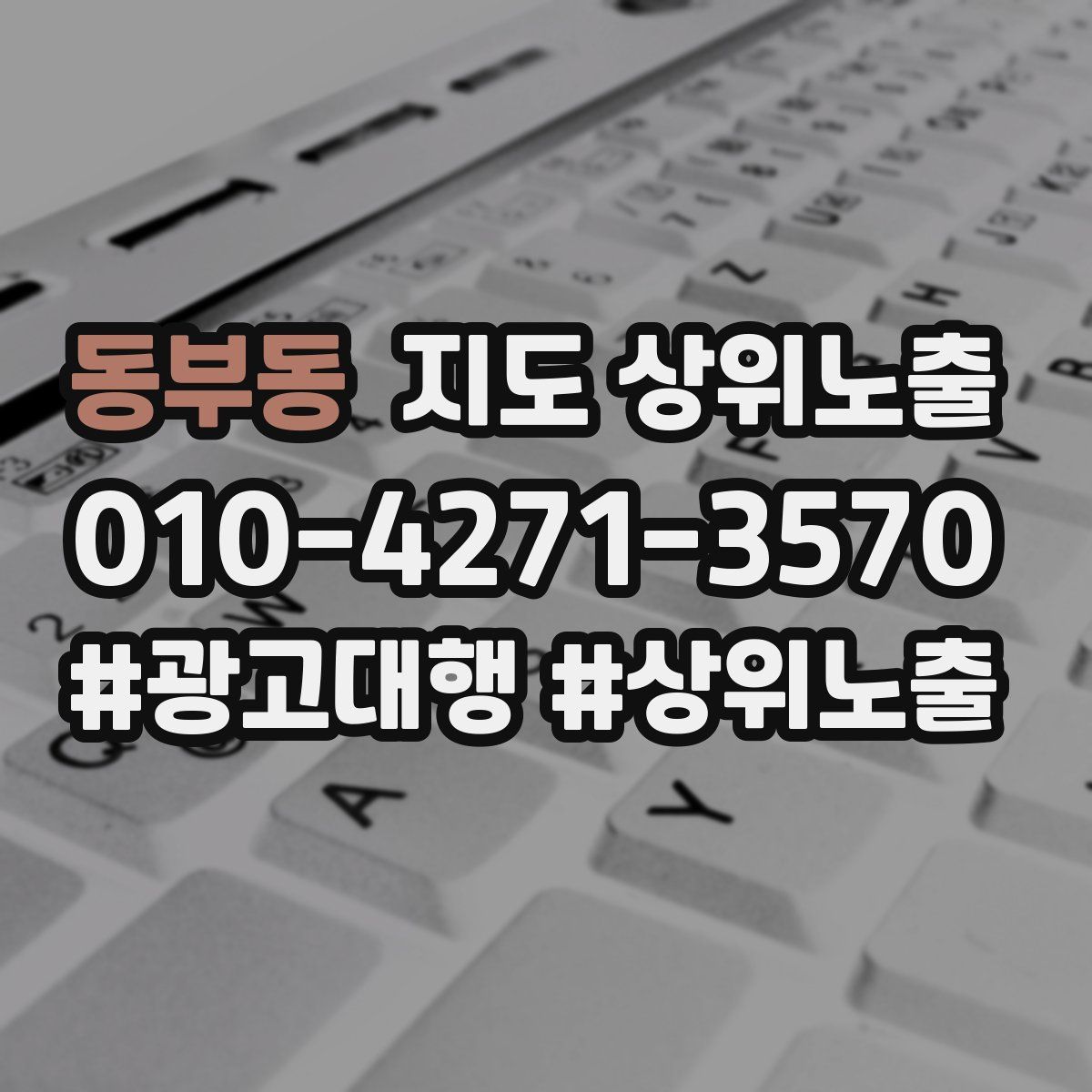 동부동 지도 상위 노출